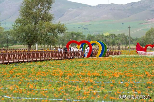 全年59项文体旅活动背后的沽源“融合实践”