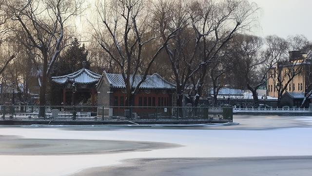 北京2006年第一场雪的温馨，每一帧照片都像是被时间雕琢过的记忆