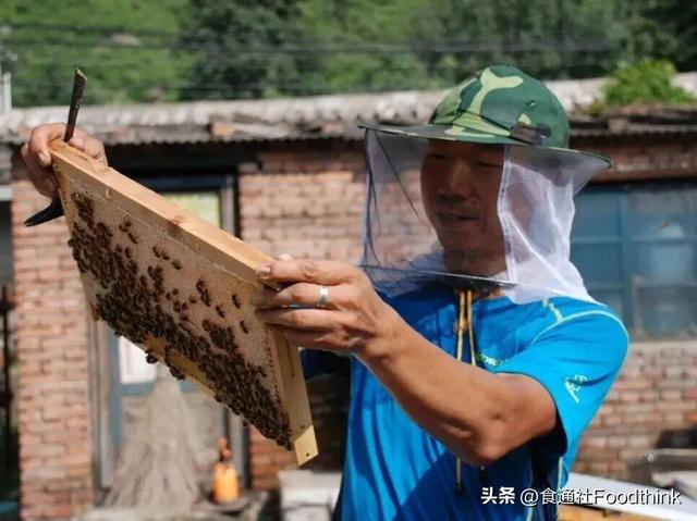 周末活动｜金冬十月，在双手做工和食通社一起妙手回秋
