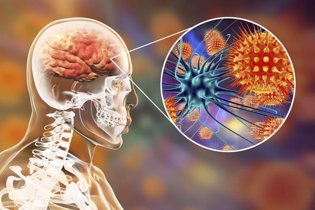 “尼帕病毒	”来势汹汹！呼吁：每家备好7样东西，关键时刻能救命