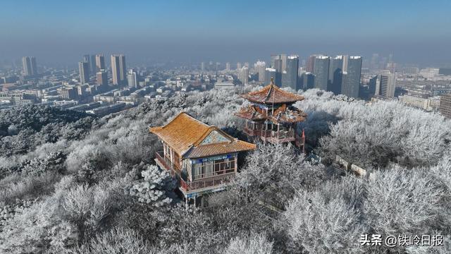 玉树琼枝缀龙山 雾凇美景醉游人