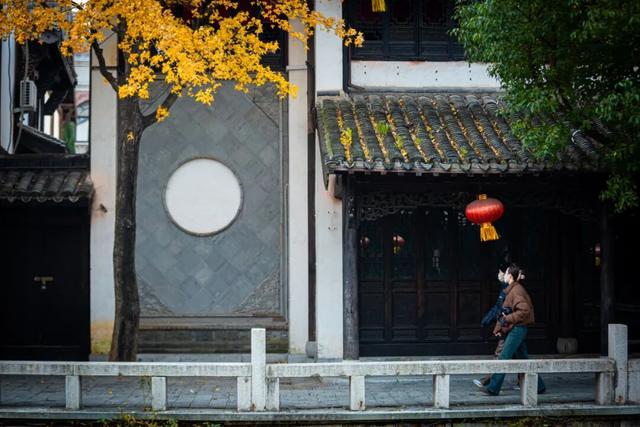 抓住秋天的尾巴 | 台儿庄古城秋色打卡指南，附私藏机位！