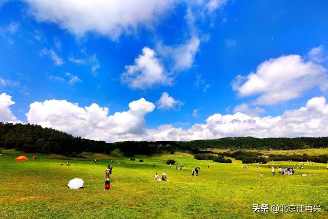 武隆仙女山，江南高山草甸，避暑胜地，天上人间