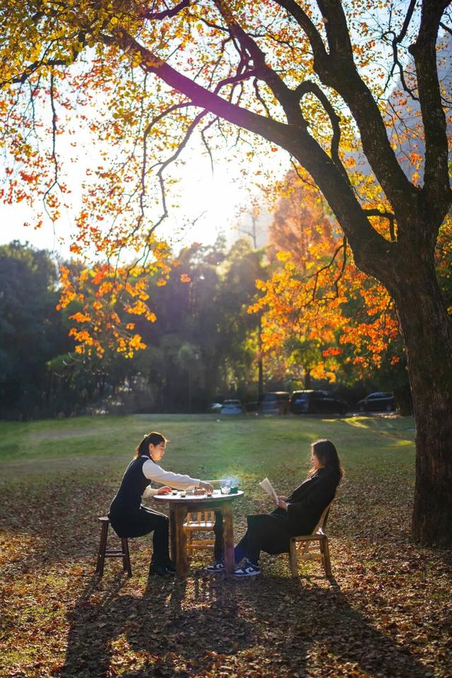 武夷山 | 我就说，这才是过日子~