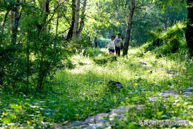 忻府区道东沟风景区正式开门迎客，景区内多种业态全面招商！