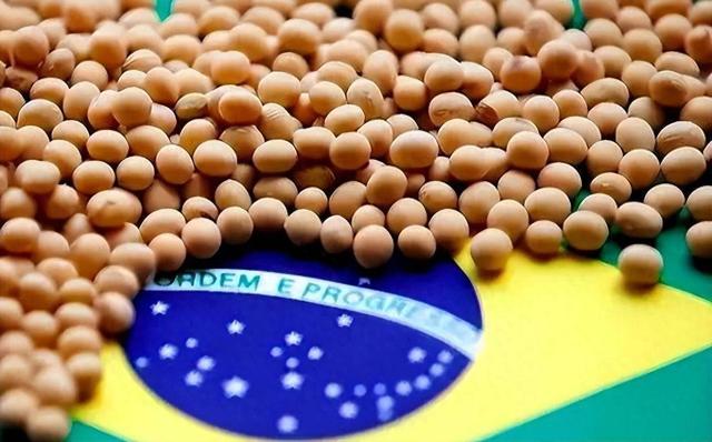 美子弹已上膛	，美财长通知中国交出稀土，话音刚落，中方停购大豆