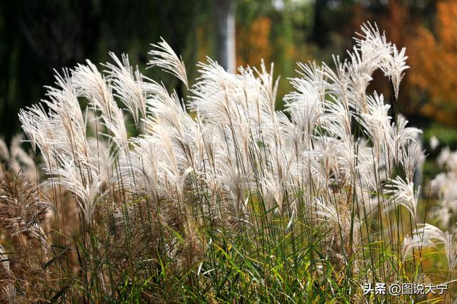 深秋时节，临汾有个富有诗意的好地方！