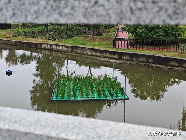 云梦生态浮岛的三重奏