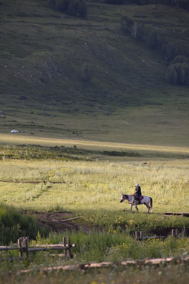 2025国内最受欢迎的50个旅行地，宜老宜少，你去过了几个？