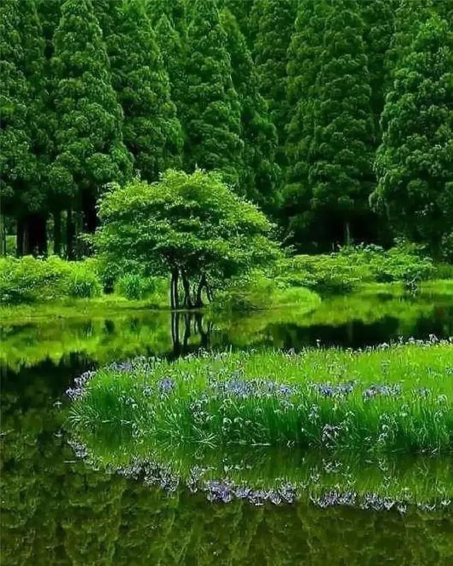 手机壁纸精美图片（112）
