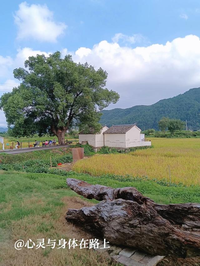 宁波东出发，一天玩转三门七个小众景点，随手一拍就是桌面壁纸。