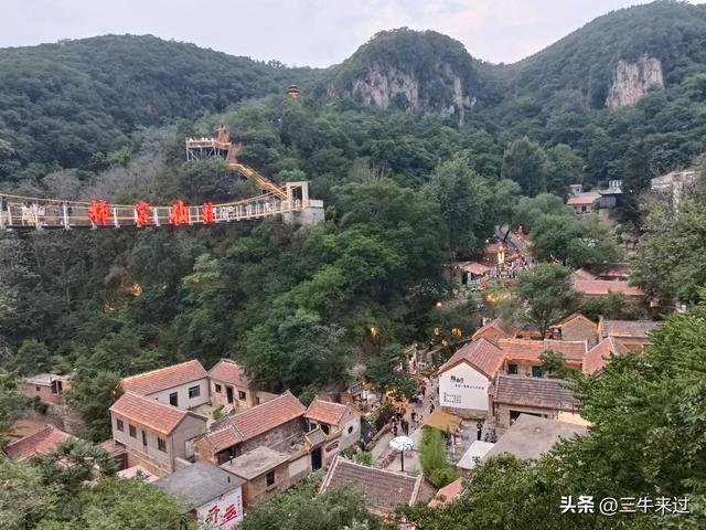 无为在歧路，2025之经行