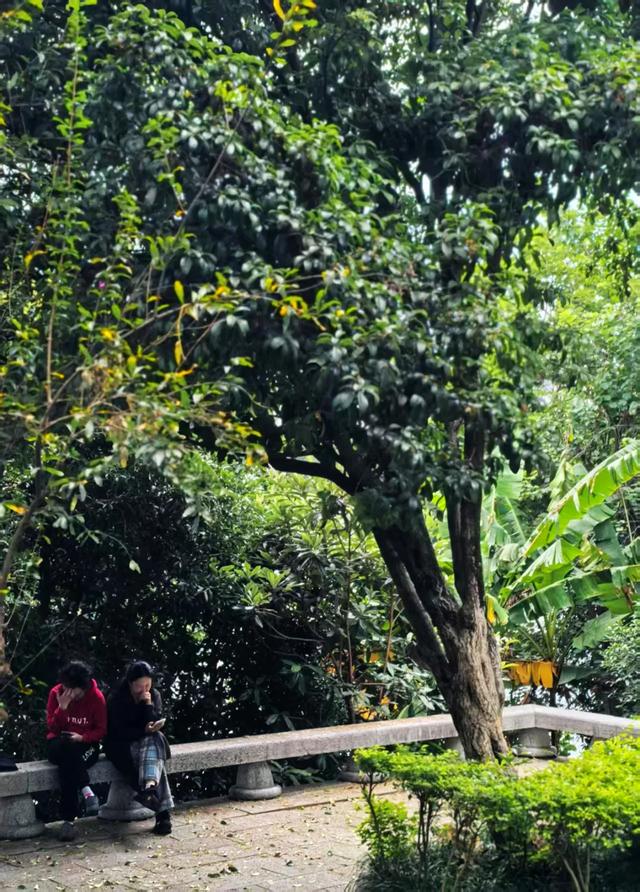 桂林：最是初冬晴午后！