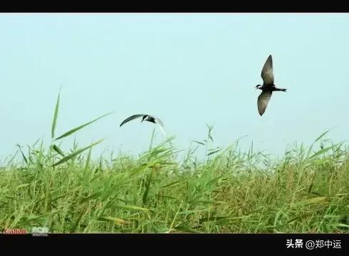 初秋