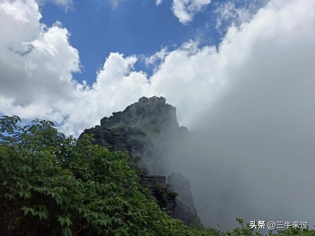 无为在歧路，贵州六日行（15）～梵净山