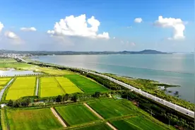 一场节，合肥走出一条新路！图片