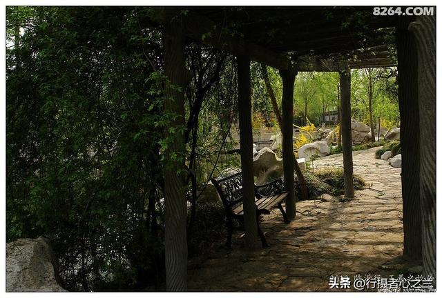 山东行游影记（46）—王羲之故居（九）