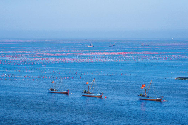 在祖国这些“角落”撞见银行网点	，瞬间被戳中！