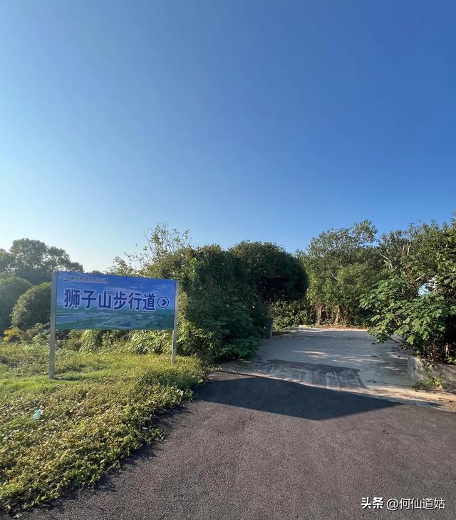 吴城狮子山观鸟