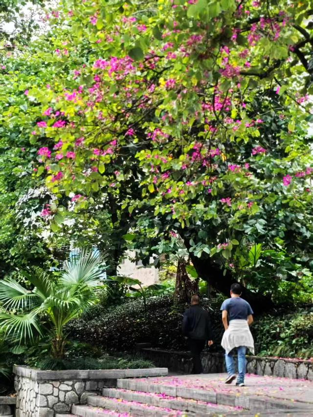 桂林:最是初冬晴午后!