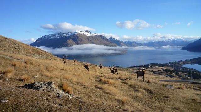反季去这里，景色封神