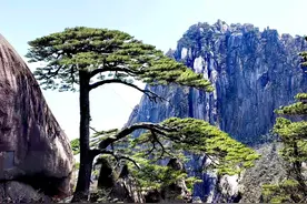 游黄山必看攻略图片