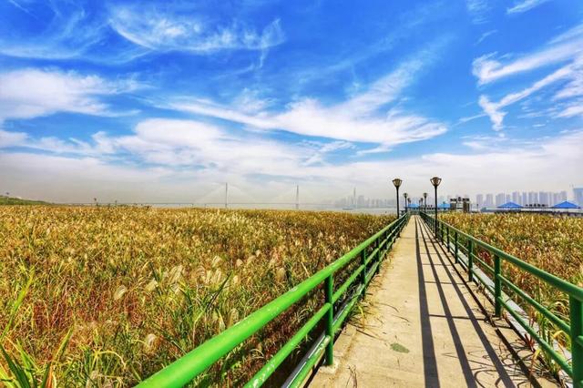 冬游来武汉，一起滑雪泡温泉