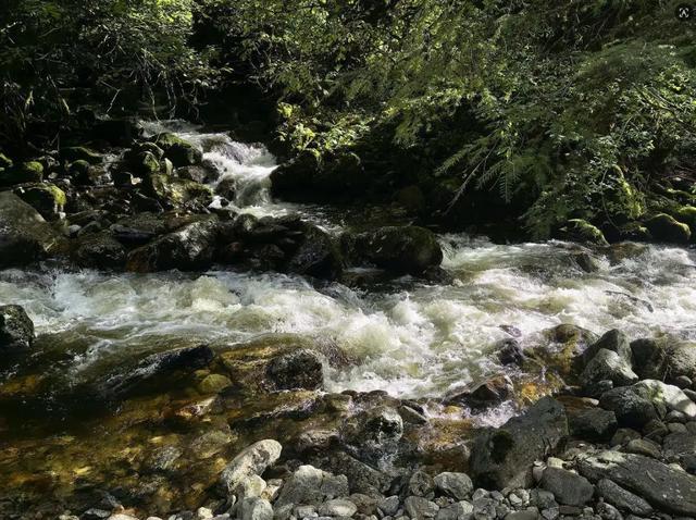 怒江福贡：寻访达友高山湖 觅得心灵归处