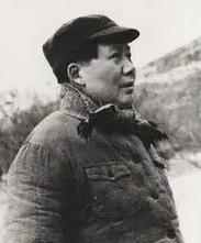 毛泽东为何派毛岸英去抗美援朝	，时隔70年，刘思齐终于说出真相！