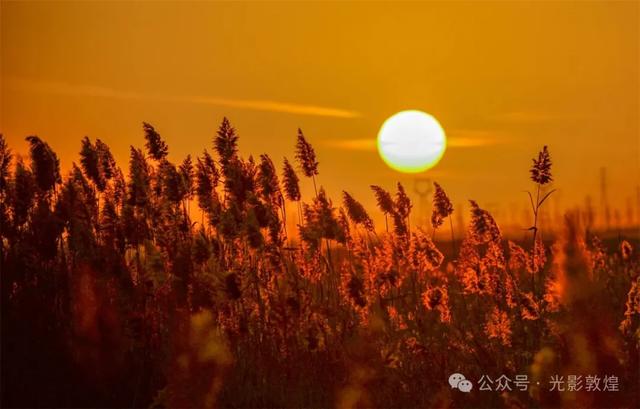 【美景敦煌】大漠孤烟直,党河落日圆