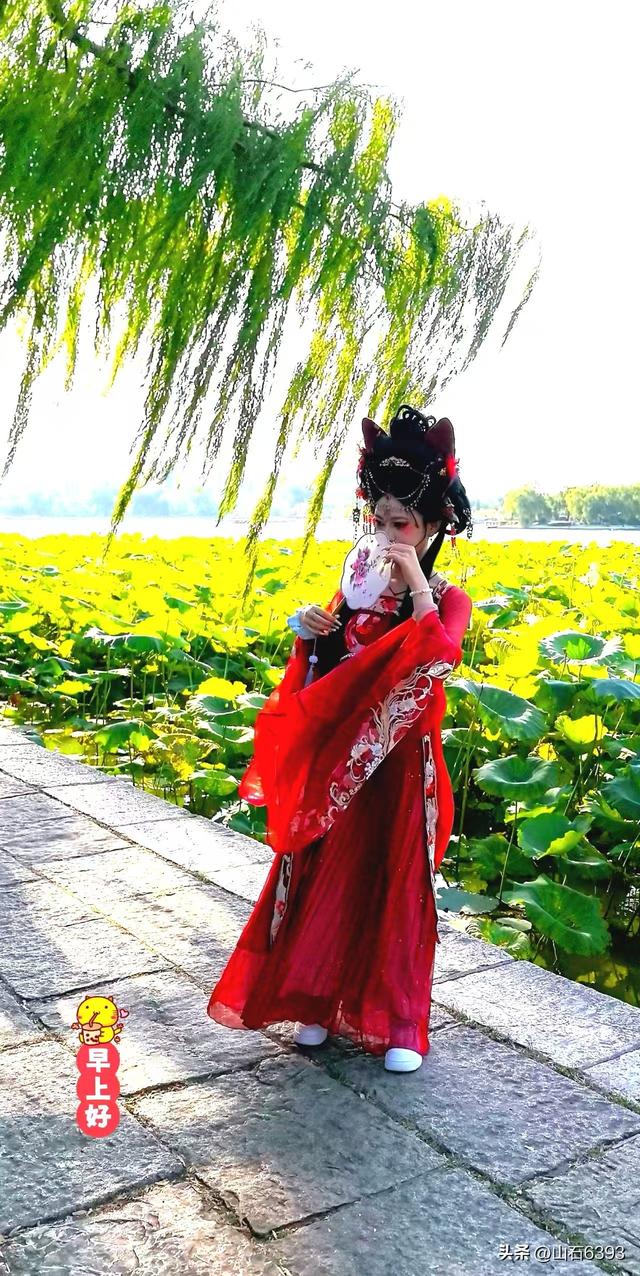 《雨荷厅畔荷香美女乐》～新华社原军事记者陶俊峰泉城大明湖美拍