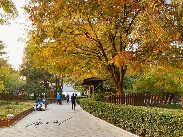 北京这个公园好奇怪！门票2毛被说“多此一举”，游客：不如免费