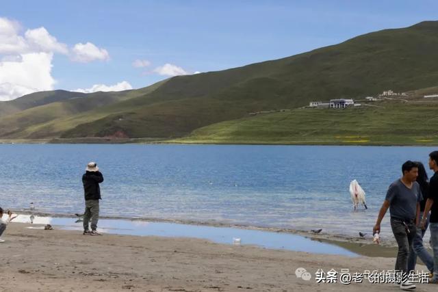 2025行摄西藏之八《西藏三大圣湖之一羊卓雍错》