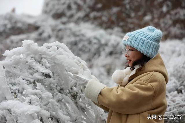 寒潮“炫技”成功！三江这地方浪漫值拉满