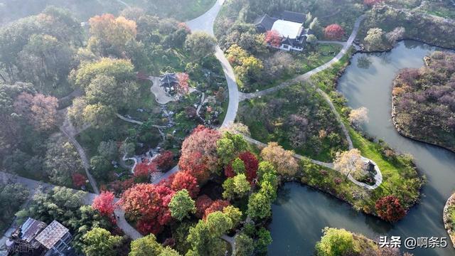 江苏扬州的冬天美得像一幅画！
