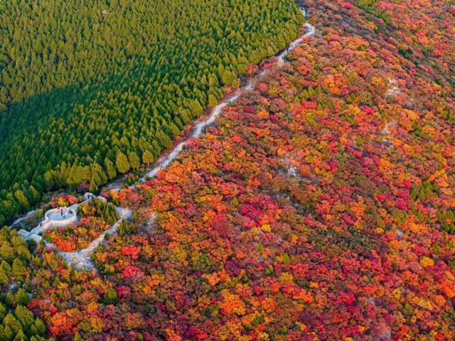 新华社聚焦+国家地理推荐！济南蝎子山“鸳鸯锅”秋景太惊艳了！