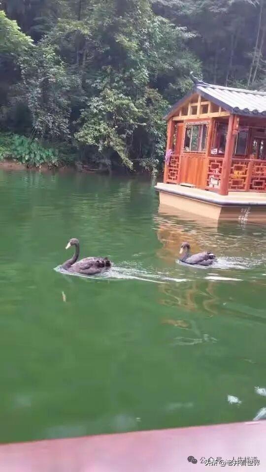 藏在湘西清山秀水中的神秘文化 || 胡成江