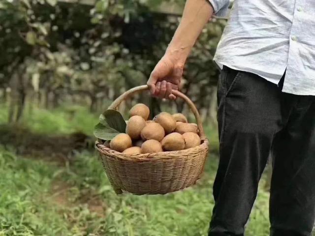 去眉县？按这些精品路线走，玩成“本地人”！
