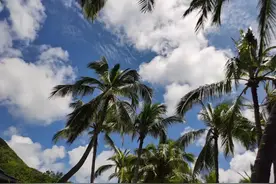 工薪阶层，选择“穷游”方式旅游，能节省一大半费用而且体验更好图片