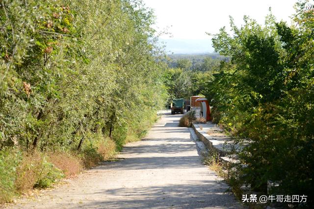 延庆应梦寺（五）：山巅极目收千嶂，林海听风涤尘心