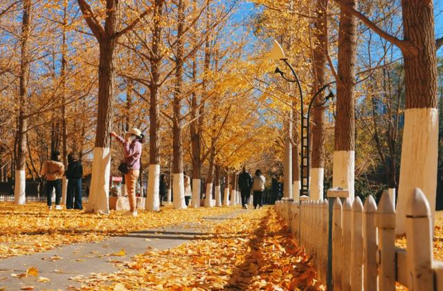 园中园,画中画,秦皇岛一河两园自然馈赠!