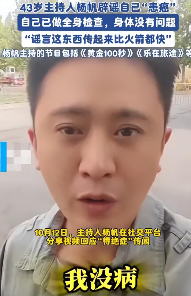 张蕾担心的事发生，杨帆患绝症传闻真相大白，白岩松一个字没说错