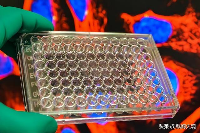 全球90%都是日本生产，一旦断供中国如何应对？为何别国无法生产