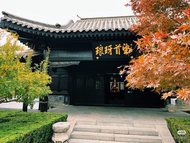 48小时极限观「临」，如何把周末玩出超高性价比？