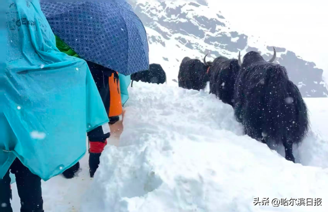 “上千人来珠峰逛公园”，在暴雪和雷电中度过惊魂一夜