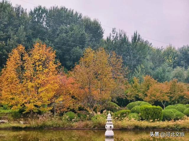 秋日，不去一趟石家庄植物园，会留遗憾