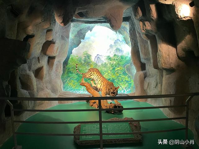 呼和浩特市托克托县田野考察笔记