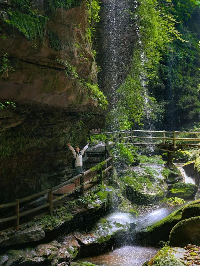 逃离高温！成都2H躲进峡谷避暑地，徒步森林瀑布、探秘野生动物！超萌奖牌周末就冲！