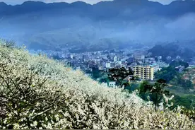 踏青游春——广东春季自驾精品线路之茂名篇图片