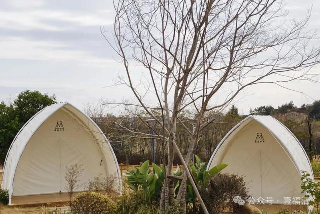 浪漫从此起!龙田元宵灯组解锁山海诗意